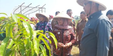 Yayasan AHM Kolaborasi dengan UIN Yogyakarta Kembangkan Eduwisata