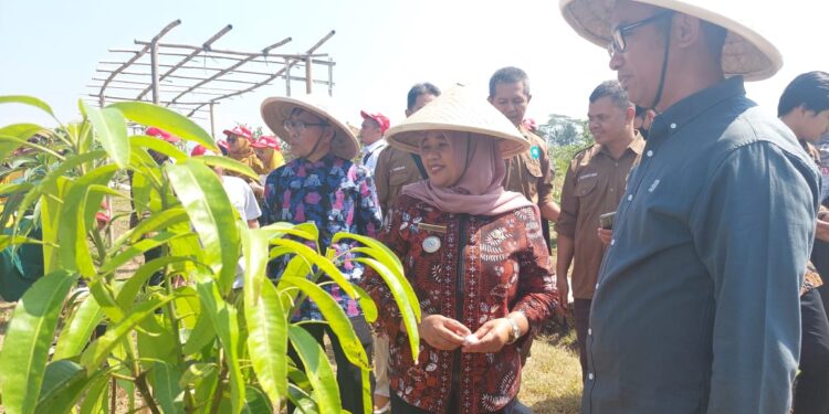 Yayasan AHM Kolaborasi dengan UIN Yogyakarta Kembangkan Eduwisata