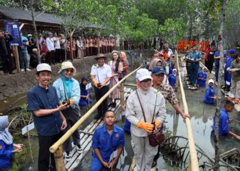 Pj Gubernur Banten Tanam Mangrove di Teluk Banten