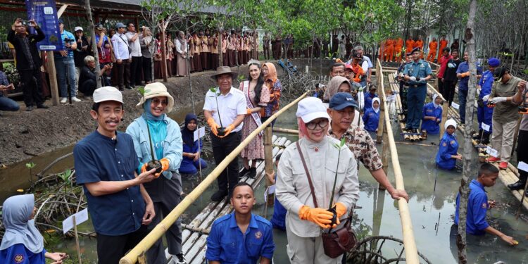 Pj Gubernur Banten Tanam Mangrove di Teluk Banten