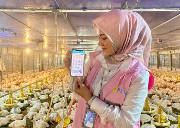 Angka Kematian Hewan Turun Signifikan, Srikandi Banten Ajak Peternak Beralih ke Listrik PLN