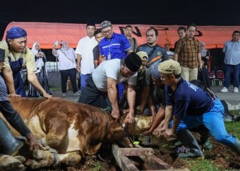 Kolaborasi Pemprov Banten dan Dapur PKK, Daging Kurban Untuk Penanganan Stunting