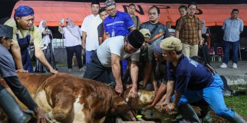 Kolaborasi Pemprov Banten dan Dapur PKK, Daging Kurban Untuk Penanganan Stunting