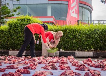 PT Mitra Sendang Kemakmuran Gelar Kegiatan Kurban, Bagikan 130 Kantong Daging Kepada Warga Sekitar