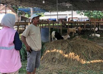 Jelang Hari Raya Idul Adha, PLN Siap Layani Kebutuhan Penerangan Sementara Pelanggan