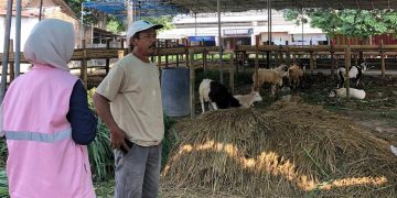 Jelang Hari Raya Idul Adha, PLN Siap Layani Kebutuhan Penerangan Sementara Pelanggan