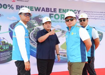 Gerak Cepat PLN Hadirkan Pasokan Energi Bersih di IKN Diapresiasi Erick Thohir