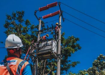PLN Sumbang Dividen Rp3,09 Triliun