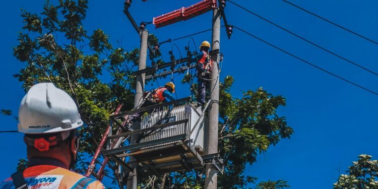 PLN Sumbang Dividen Rp3,09 Triliun