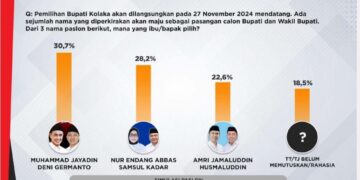 Survei IPS: Jayadin-Deni dan Endang-Kadar Bersaing Ketat di Pilkada Kolaka