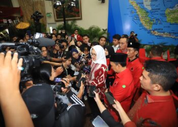 Diminta Megawati Atasi Stunting, Airin Dorong Program Posyandu Ceria