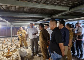 UP3 PLN Banten Selatan Kenalkan Program Bekisar Electinet