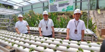 PLN Dorong Produktivitas Petani Anggur Melalui Program “Menyala Anggurku” di Tangerang Selatan