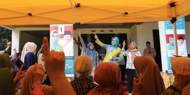 Dukung Ekonomi Pesantren, Airin-Ade Siapkan Program Santri Tani