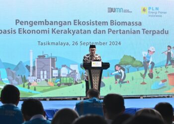 PLN Kembangkan Ekosistem Biomassa