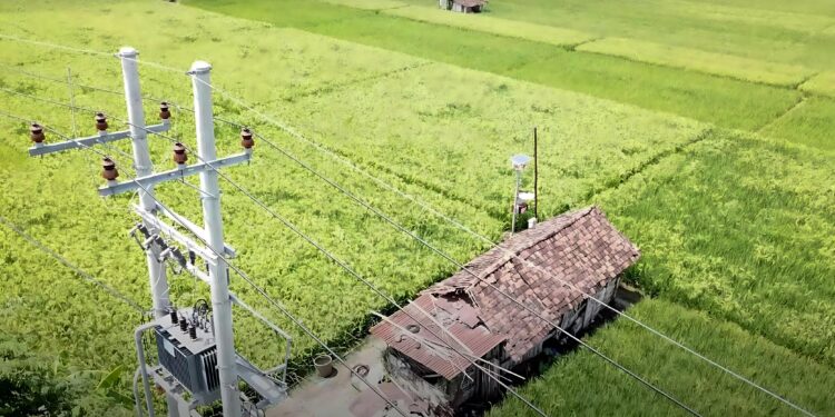 Program EA PLN Tunjukkan Kinerja Mentereng Tahun 2024