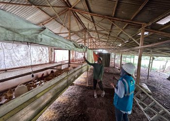 PLN UID Banten Dukung Sektor Pertanian dan Perternakan Lewat Program Electrifying Agriculture