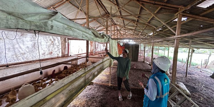 PLN UID Banten Dukung Sektor Pertanian dan Perternakan Lewat Program Electrifying Agriculture