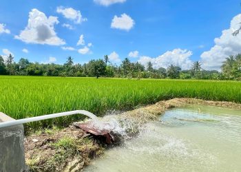 Kementerian ESDM Tetapkan Tarif Listrik Triwulan II Tidak Ada Perubahan Untuk 13 Golongan Nonsubsidi