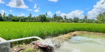 Kementerian ESDM Tetapkan Tarif Listrik Triwulan II Tidak Ada Perubahan Untuk 13 Golongan Nonsubsidi