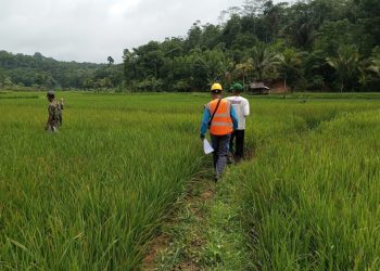 PLN UID Banten Terus Hadirkan Infrastruktur Kelistrikan Handal Ke Wilayah Terpencil