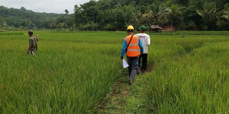 PLN UID Banten Terus Hadirkan Infrastruktur Kelistrikan Handal Ke Wilayah Terpencil