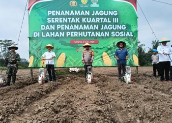 Polres Serang Tanam Jagung Serentak Seluas 16,1 hektar