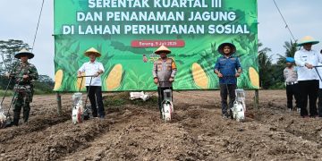 Polres Serang Tanam Jagung Serentak Seluas 16,1 hektar