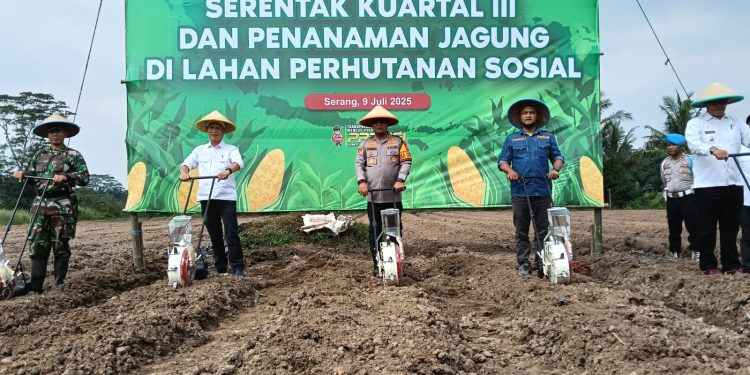 Polres Serang Tanam Jagung Serentak Seluas 16,1 hektar