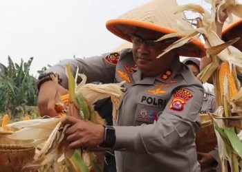 Dari Seragam ke Ladang, Kapolres Serang Resmi Jadi “Polisi Jagung Indonesia”