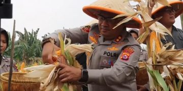 Dari Seragam ke Ladang, Kapolres Serang Resmi Jadi “Polisi Jagung Indonesia”