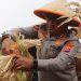 Dari Seragam ke Ladang, Kapolres Serang Resmi Jadi “Polisi Jagung Indonesia”